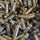 Ammo Blanks