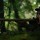 Archery 6 blowgun