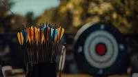 Arrows & Bolts