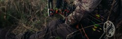 Compound Bows & Accessories