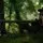 Archery 6 blowgun