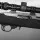Firearm Rimfire v2
