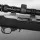 Firearm Rimfire