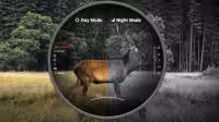 Night Vision