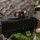 Optics  5 Red dot