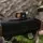 Optics  5 Red dot