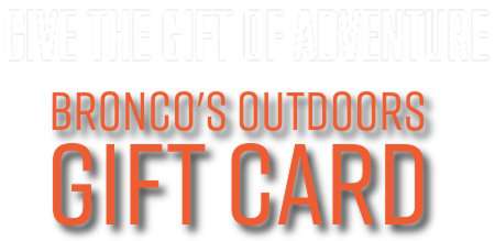 Gift Card Overlay 2