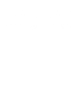 Hikmicro ov MD