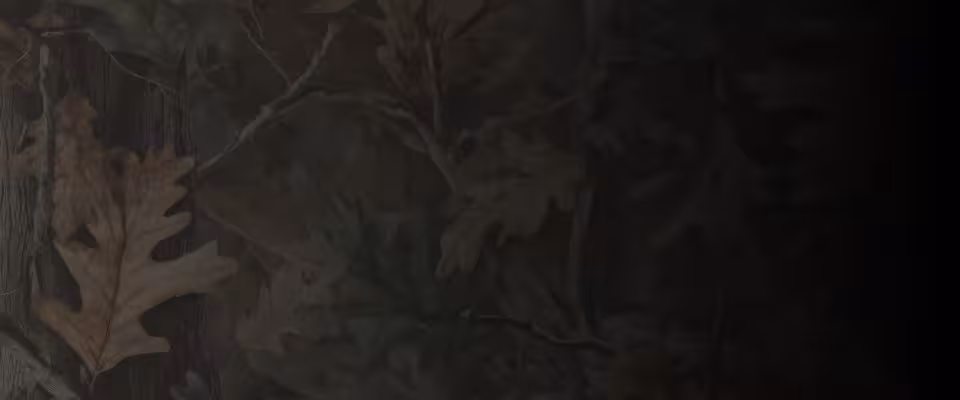 SC lg
