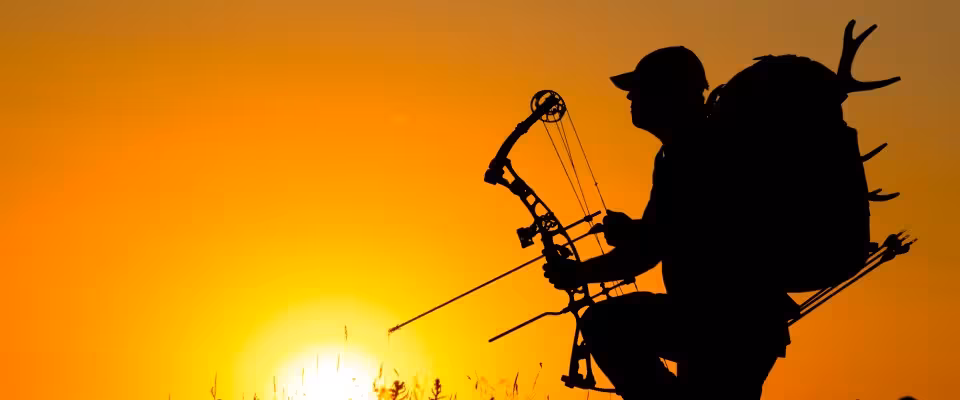 archerysale lg