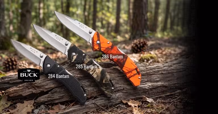 Buck2 sm