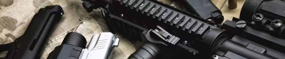 firearms lg