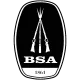 BSA