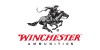 Winchester 