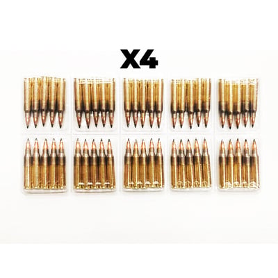 ADI World Class .223 55gr Hornady SP 200 Rounds