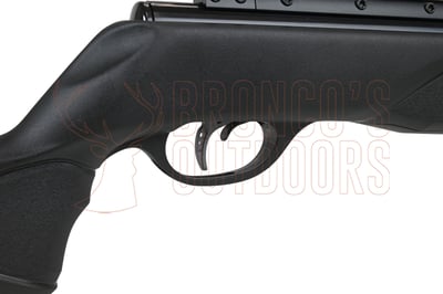 BSA Merlin XL Synthetic .22 + BSA 3-9x40