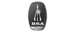 BSA