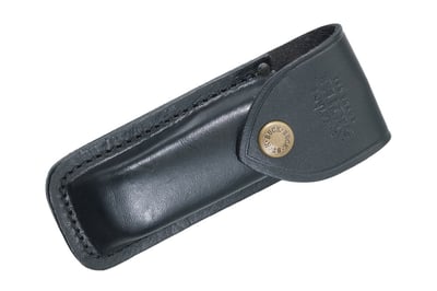 Buck 110 Folding Hunter