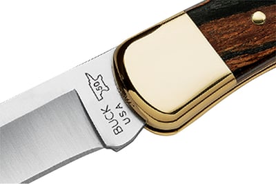 Buck 110 Folding Hunter