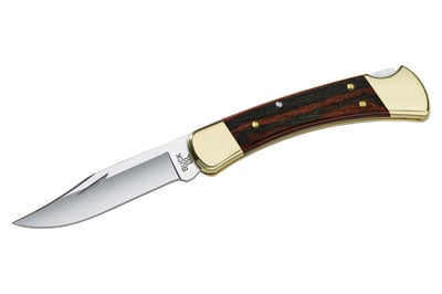 Buck 110 Folding Hunter