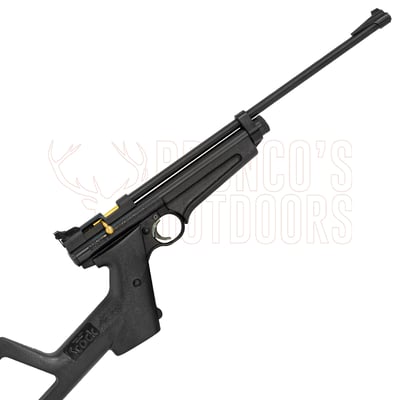 Crosman Ratcatcher 2250B .22