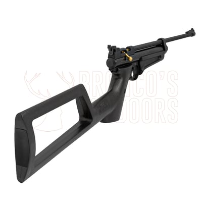 Crosman Ratcatcher 2250B .22