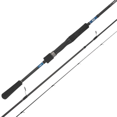 Daiwa 21 TD Tierra Rod