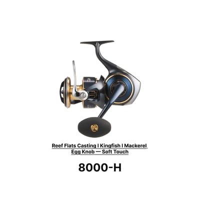 Daiwa 25 Saltiga Spinning Reel