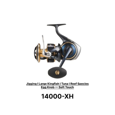 Daiwa 25 Saltiga Spinning Reel