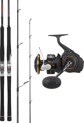 Daiwa Demon Blood S56-6/8 Spinning Rod + BG SW 14000 Spinning Reel