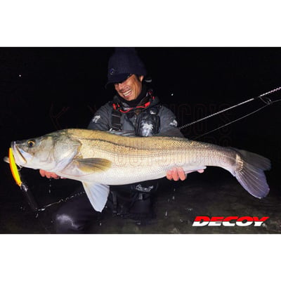 Decoy EX Snap Fishing Connector
