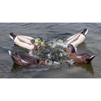 Game on Feeding Frenzy Motion Decoy System