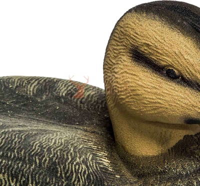 Game on Full Size Flocked Mallard Decoy 12-Pack