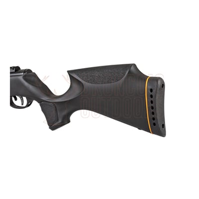Gamo Swarm Magnum Pro Gen3i .25 + Gamo 3-9x40 Scope
