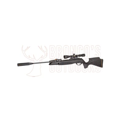 Gamo Swarm Magnum Pro Gen3i .25 + Gamo 3-9x40 Scope