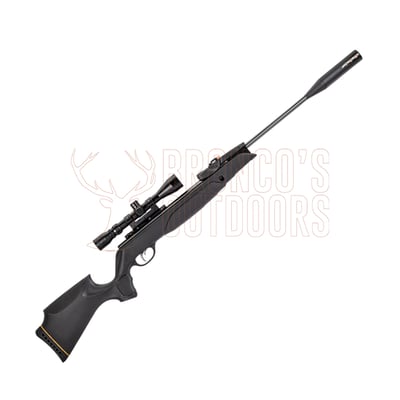 Gamo Swarm Magnum Pro Gen3i .25 + Gamo 3-9x40 Scope