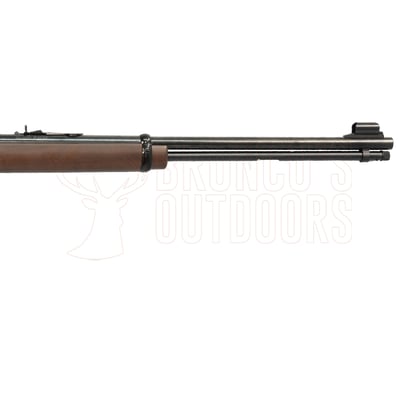 Henry H001M Blued .22 WMR