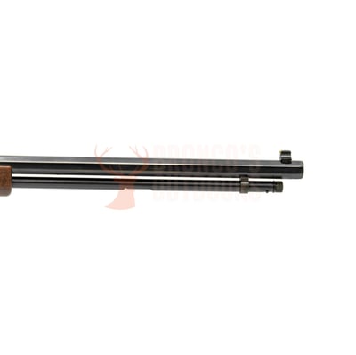 Henry H004V Golden Boy .17 HMR