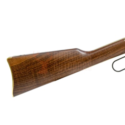 Henry H004V Golden Boy .17 HMR