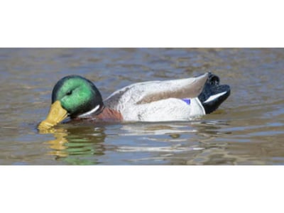 Higdon Battleship Swimmer PRO Mallard Drake Decoy