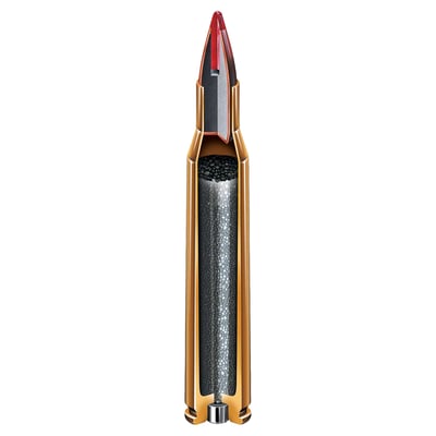 Hornady Superformance .204 Ruger 40gr V-MAX 20 Rounds