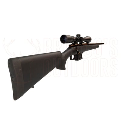 Howa Mini Blued 20" Black .223 Rem + GamePro 4-12x40 Scope