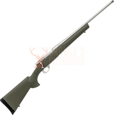Howa Model 1500 Stainless Steel Threaded 20" Green Hogue Stock .223