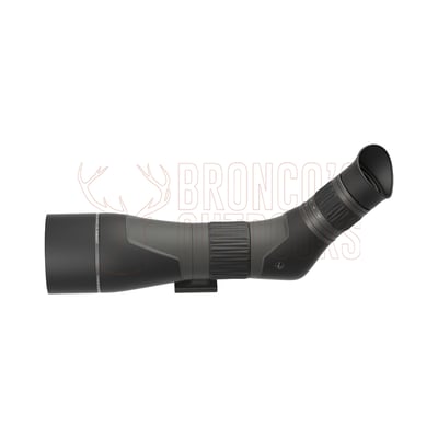 Leupold SX-2 Alpine HD Gen2 20-60x80 Angled Spotting Scope