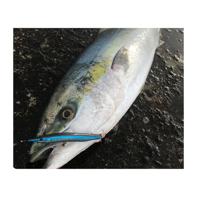 Little Jack Metal Adict Type 07 Fishing Jig 40gm