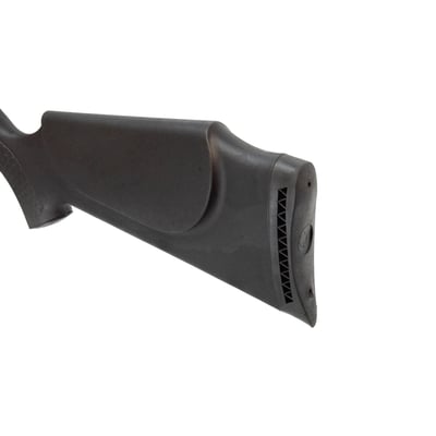 Norica Dragon GRS Evolution Max .22 + 4-12x40 Scope