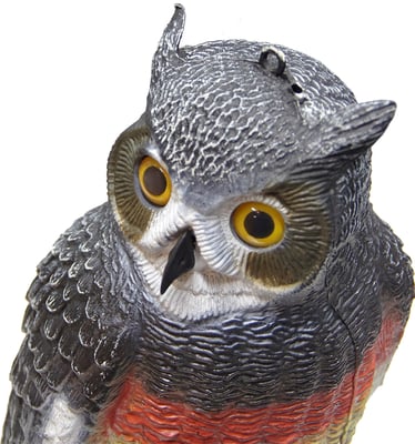 Outdoor Outfitters Large Owl Decoy for Bird Scaring and Magpie Attraction