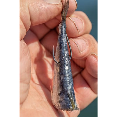 Owner 5115 Octopus Cutting Point Hook 3/0