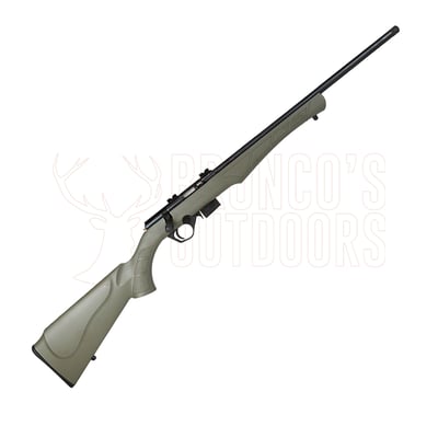 Rossi 8117 Green Stock .17 HMR