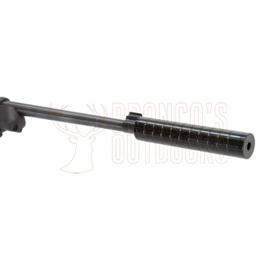 Ruger 10/22 Blued Synthetic .22 LR + Burris Fullfield Riflescope 3-12x42mm Plex KSB MY25 + Stealth Alloy Weaver Scope Rings 1" Medium + Suppressor
